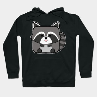 Kawaii Square Raccoon Hoodie